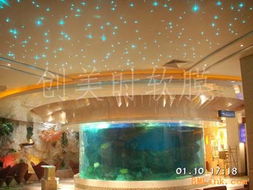 供应衡水透光膜 邢台透光膜 邯郸透光膜