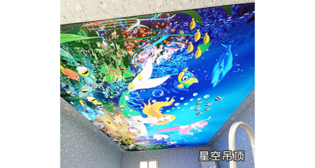 仙桃内蒙张拉膜